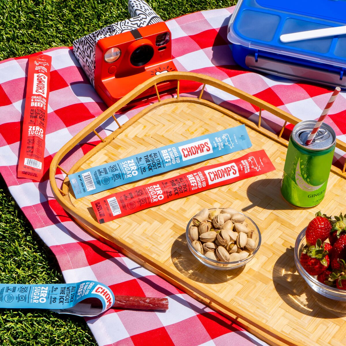 What to Bring to a Picnic: Picnic Essentials