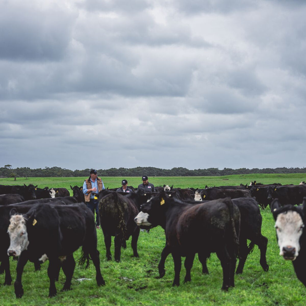 Grass-Fed Beef