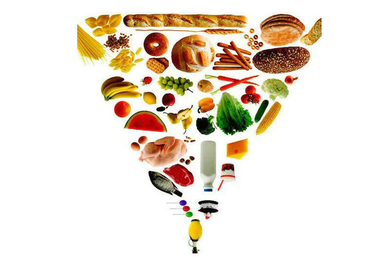 The Government's Bad Diet Advice - Turning the Food Pyramid Upside Down